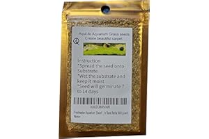 AQULIFE Freshwater Aquarium Dwarf Hairgrass Seeds Foreground or Carpeting in Planted Fish Tank Betta Will Love it.
