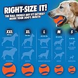 Chuckit Ultra Ball Bucket Medium Pack of 8 Durable High Bounce Rubber Dog Toy view 5