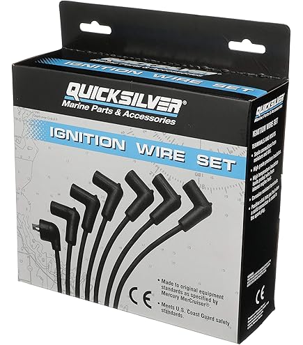 Amazon.com: Sierra International 18-28086 Plug Wire Set
