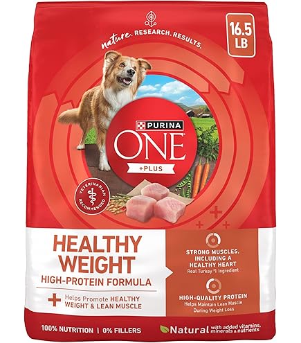 2 month old boxer puppy clothes sizing Male Dog Diaper Wrap Belly Band Reusable Washable Neoprene