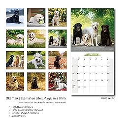 2026 Wall Calendar Labrador Retriever Planner