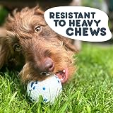 Petface Outdoor Paws Mighty Ball Dog Toy Medium Pack of 2 view 2