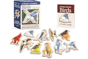 Extremely Accurate Birds Wooden Magnet Set: 10 Anatomically Precise Magnets