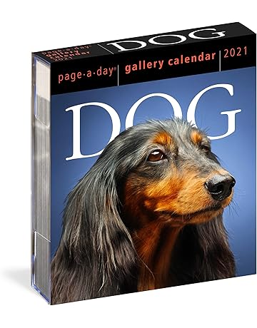 revolution for dogs amazon