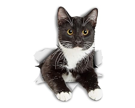 Winston & Bear 3D Aufkleber - 2er-Pack Katze - ruhen Smoking Kitty Aufkleber für Wand, Kühlschrank und schwarz Tuxedo Katze A