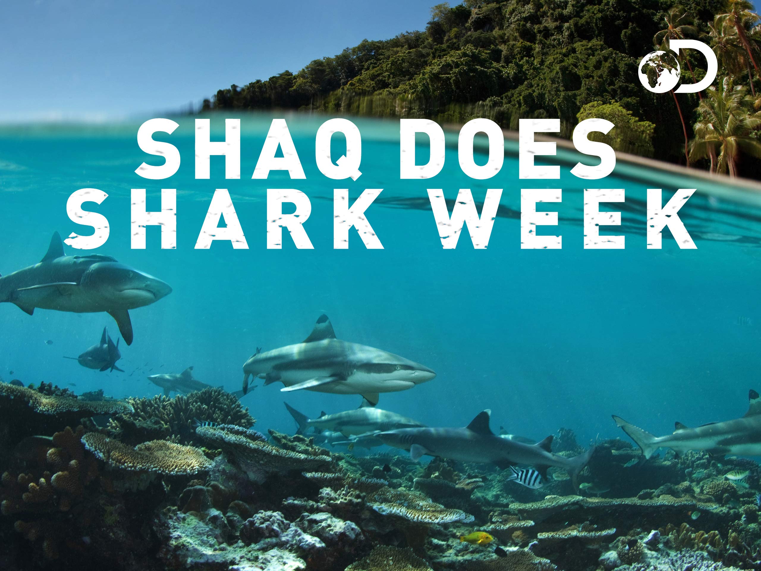 Watch Shaq Does Shark Week Season 1 Prime Video