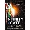 Infinity Gate (The Pandominion, 1)