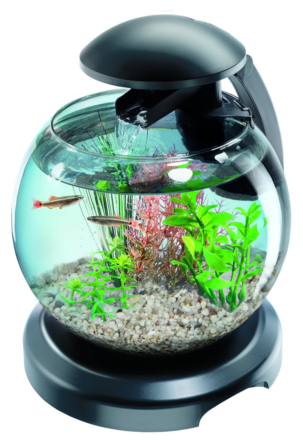 Tetra Cascade Globe Black, LED Filtered Glass Aquarium 6.8 Litre, For a