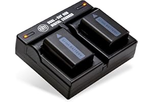 BM Premium 2 Batteries and Dual Bay Charger for Sony ZV-E10, A7 II, A6100, A6400, DSC-RX10 IV, DSC-RX10 II, RX10 III, Alpha 7, Alpha 7R, a7, a7R, A7s, A7s II, a3000 a5000 a5100 a6000 a6300 a6500