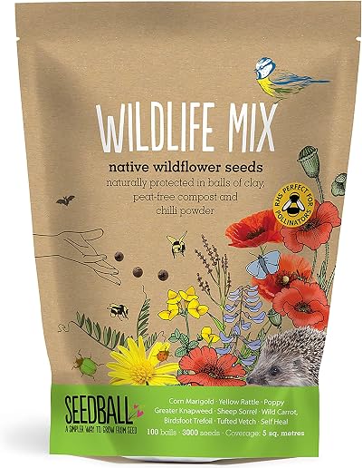 Seedball Wildlife Seed Bombs 100 Pack Bee Friendly Wildflower Mix