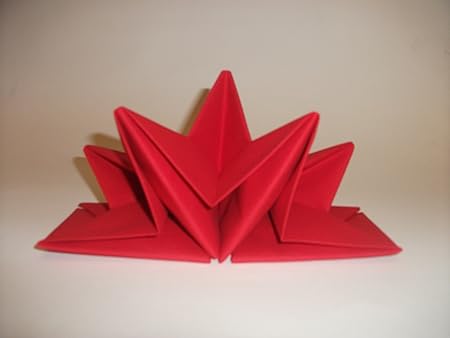 Tovaglioli Stella Di Natale.Pre Piegato Stella Di Natale Da Tavola Usa E Getta Tovaglioli X 12 Amazon It Casa E Cucina