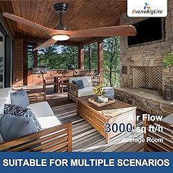 BvenuBigLite Outdoor Ceiling Fan with Light: 52