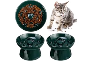 Tioncy 2 Pcs Raised Cat Slow Feeder Bowl Ceramic Elevated Cat Dog Food Bowl No Spill High Edge for Dry Wet Food and Water Easy to Clean, Dishwasher Safe(Dark Green)