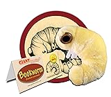 GIANTmicrobes Bookworm Plush – Learn About