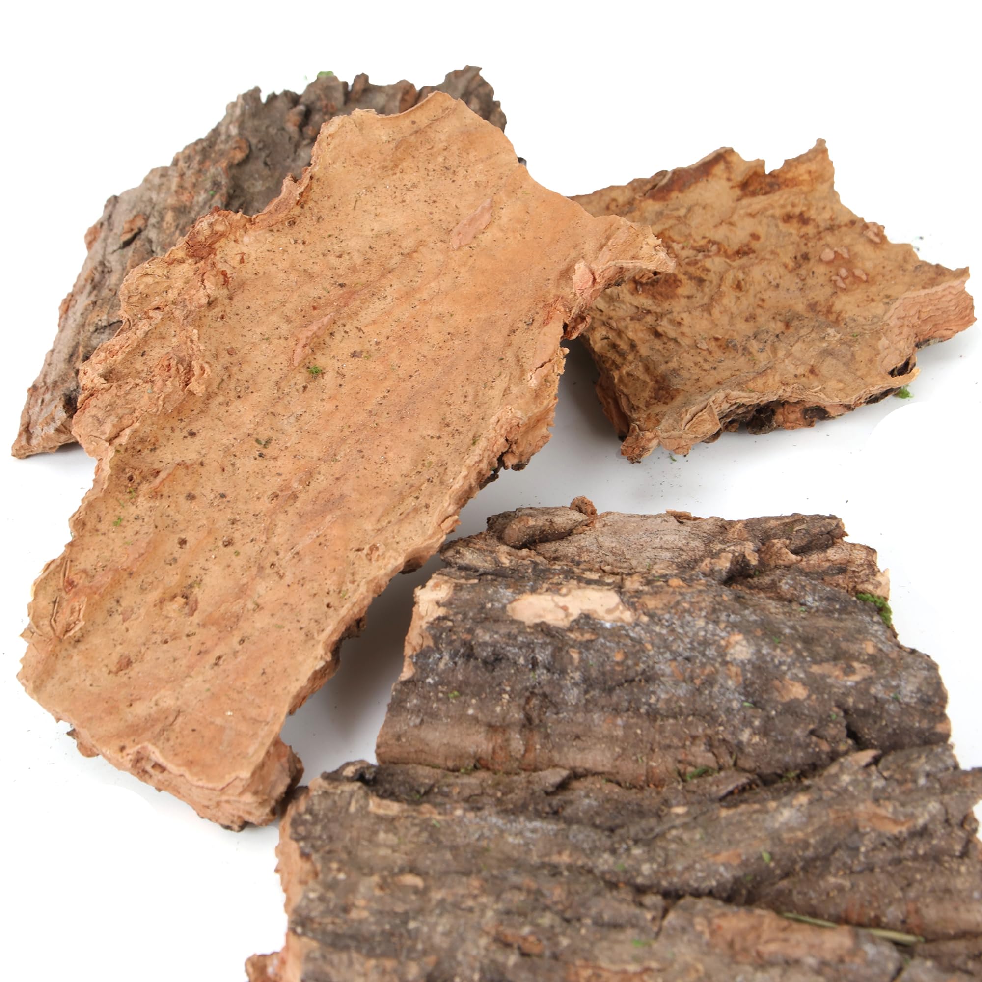 BYHER Fake Moss for Crafts, Assorted Treebark Fairy Garden Accessories Green Moss for Decorating, Tree Bark for Crafts, Terrarium, Floral Arrangements (Forest Green)