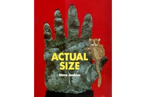 Actual Size