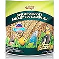 Living World – Millet Spray for Birds, 17.6 Oz – Premium Treat for Budgies, Canaries, Finches, Cockatiels and Other Pet Birds