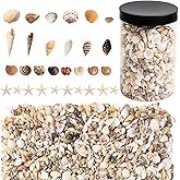 HAPYSHOOP 2000 pcs Mini Seashells with 10 pcs Starfish,Sea Shells for Crafting,Small Seashells for DIY Jewelry, Home Decor, Ocean Themed Party