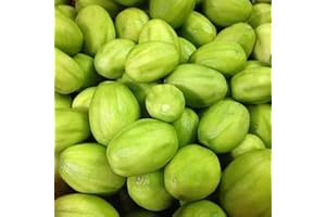 GENERIC Fresh and Delicious June Plums, also known as green ambarella or green jobo fruit, 3 LBS.