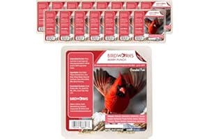Heath Outdoor Products Berry All Season No Mess Suet Cake Birders Pack, Food for Woodpeckers, Cardinals, Siskins, Sparrows, Finch's & Many More Wild Birds & More - 10oz Suet Feeder, (Pack of 16)