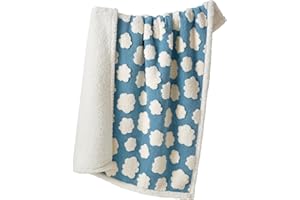 LE SURE Waterproof Puppy Blanket for Small Dogs - Washable Double Sided Dog Blankets with Warm Jacquard Shag and Soft Sherpa Fleece, Pet Cat Blanket for Couch Protection, 3D Textured Cloud, Blue