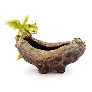Top Collection Rex The Green Dragon Perched on Succulent Planter and Air Plant Pot, 4.75-Inch Tall 7.5-Inch Wide, Cute Magic Dragon Statue