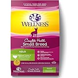 Amazon.com: Wellness Complete Health Natural Dry Large