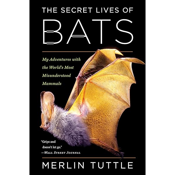 洋書 BATS a world of science and mystery Bats: A World of Science and Mystery | NHBS Academic