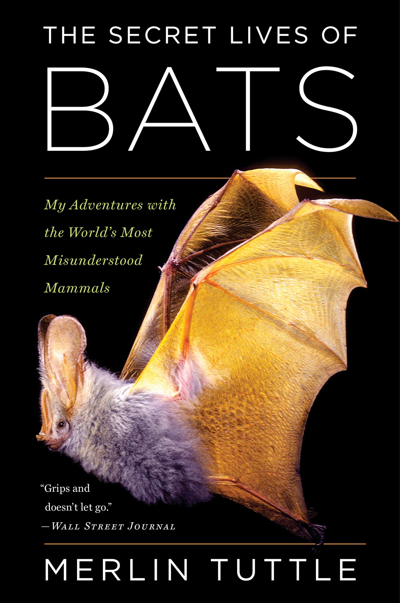 The Secret Lives of Bats: My Adventures with the