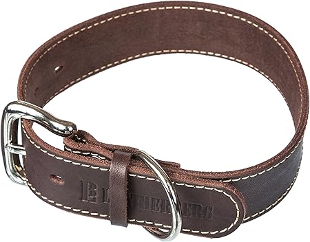 large leather collar