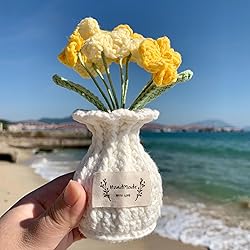 YOOJEE Crochet Flower Pot Forget-me-not for Lover