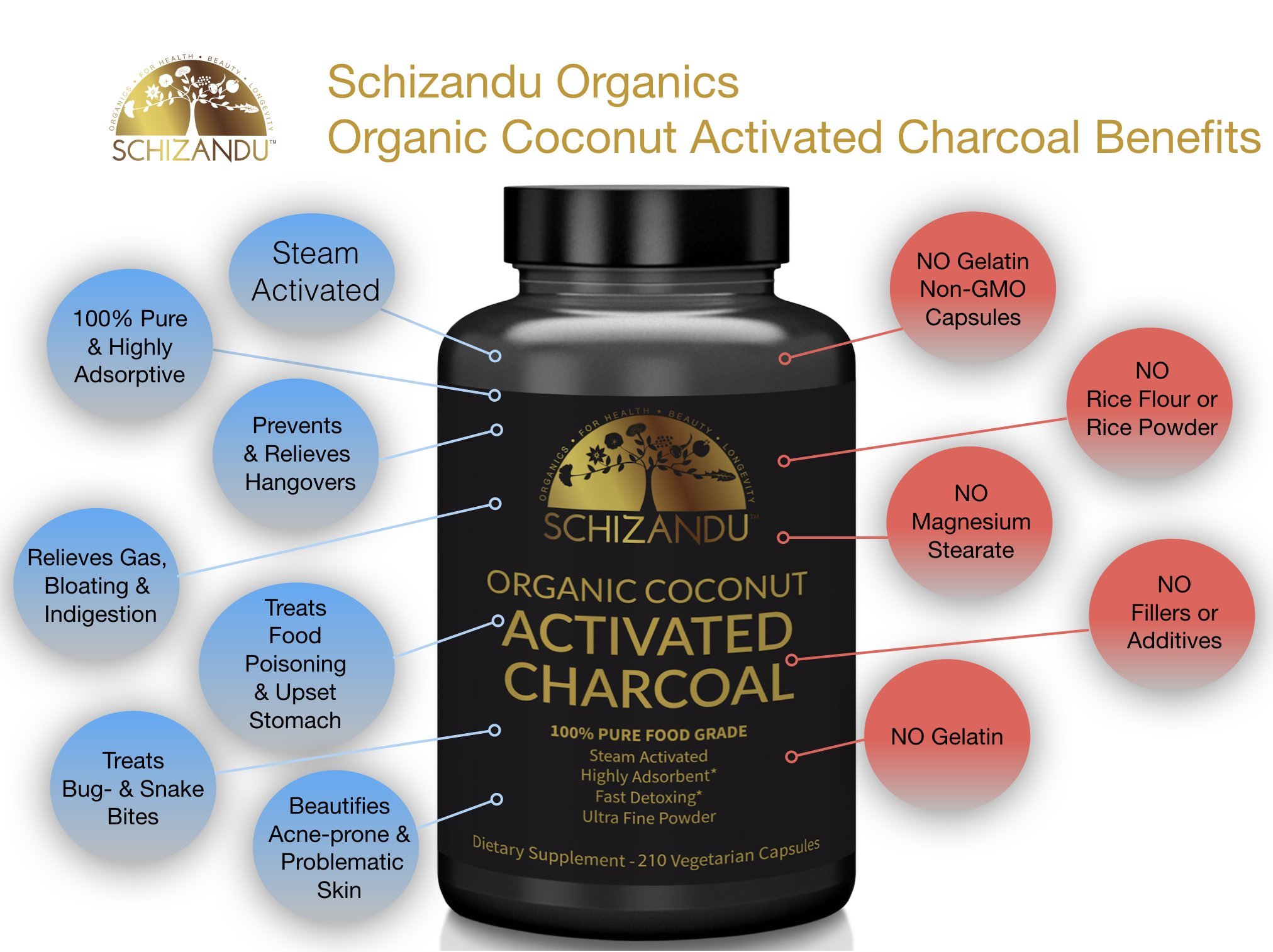 Galleon Organic Activated Charcoal Capsules, 210 Pills, Food Grade Detox, Non GMO Veggie