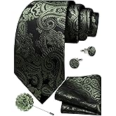 Ailisus Ties for Men Paisley Silk Neck Tie and Pocket Square Cufflinks Tie Clip Lapel Pin Set Wedding Party 5PCS