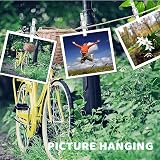 Fuyamp 100 Pcs Clear Mini Pegs 2.5cm Small Crafting Clips Photo Clips view 6