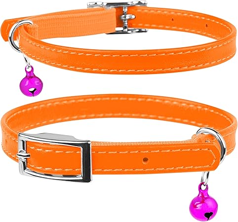 orange kitten collar
