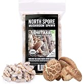 North Spore Organic Shiitake Mushroom Plug Spawn for Logs, 100 ct | for Inoculating Logs, Beginner-friendly, Lentinula Edodes, USDA-certified Organic, Handmade in Maine, USA