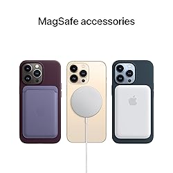 Apple iPhone 13 Pro Max Silicone Case with Magsafe