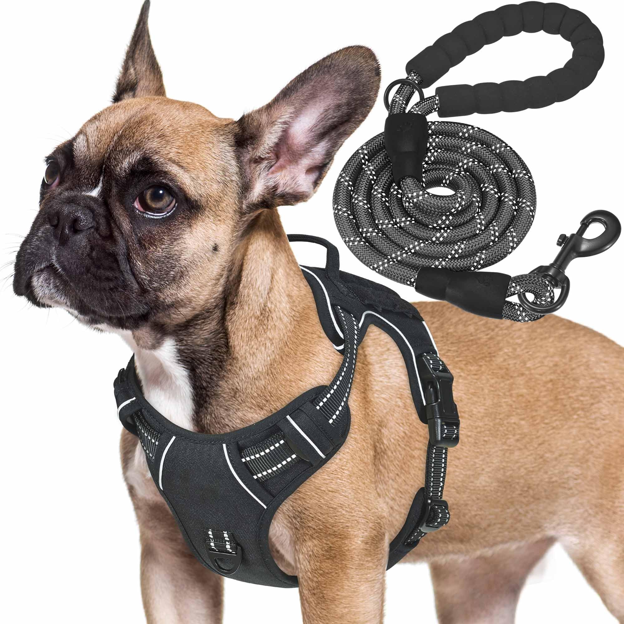 Haapaw Heavy Duty Tactical Dog Harness for Small Dogs, No Pull Adjustable Pet Harness Reflective Service Training Easy Control Pet Vest Military Working Dog Harnesses- Small, Black