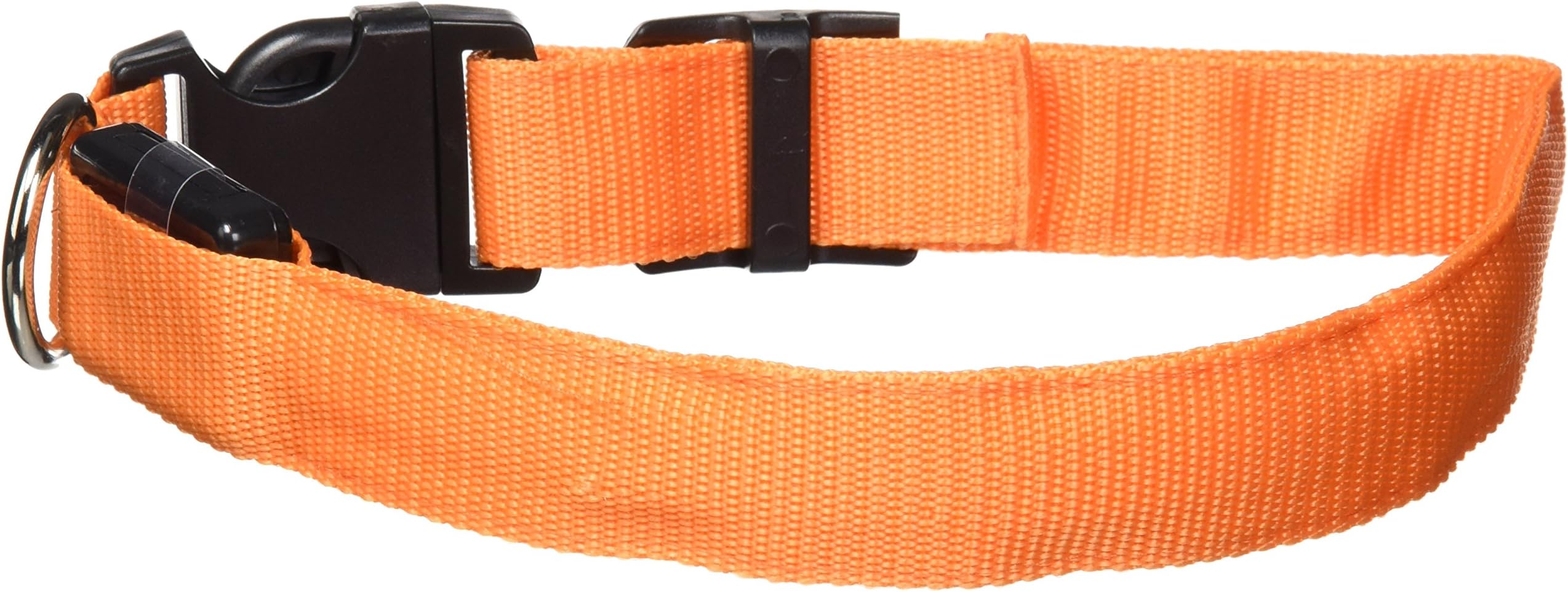 Petcessory PCL-001-ORG-M LED Pet Collar, Medium, Orange
