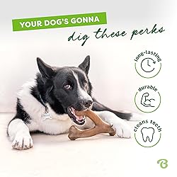 Benebone Wishbone Durable Dog Chew Toy for