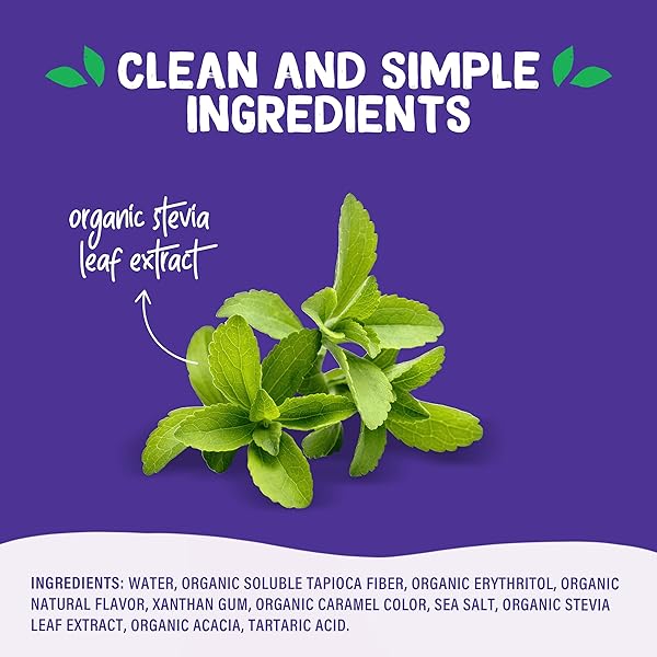 PYURE ORGANIC CARAMEL DESSERT SYRUP | SUGAR-FREE CARAMEL TOPPING FOR KETO ICE CREAM, PANCAKES, LOW CARB SWEETS | 1G NET CARB, GLUTEN-FREE, VEGAN, NON-GMO, PLANT-BASED, DIABETIC FRIENDLY | 14 OZ