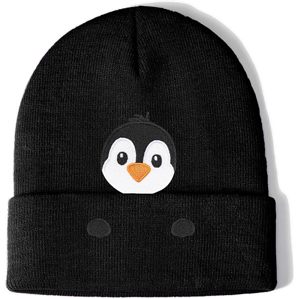 Amazon.com: Snbidmk Cute Penguin Hoodie Funny Hoody Sweatshirts