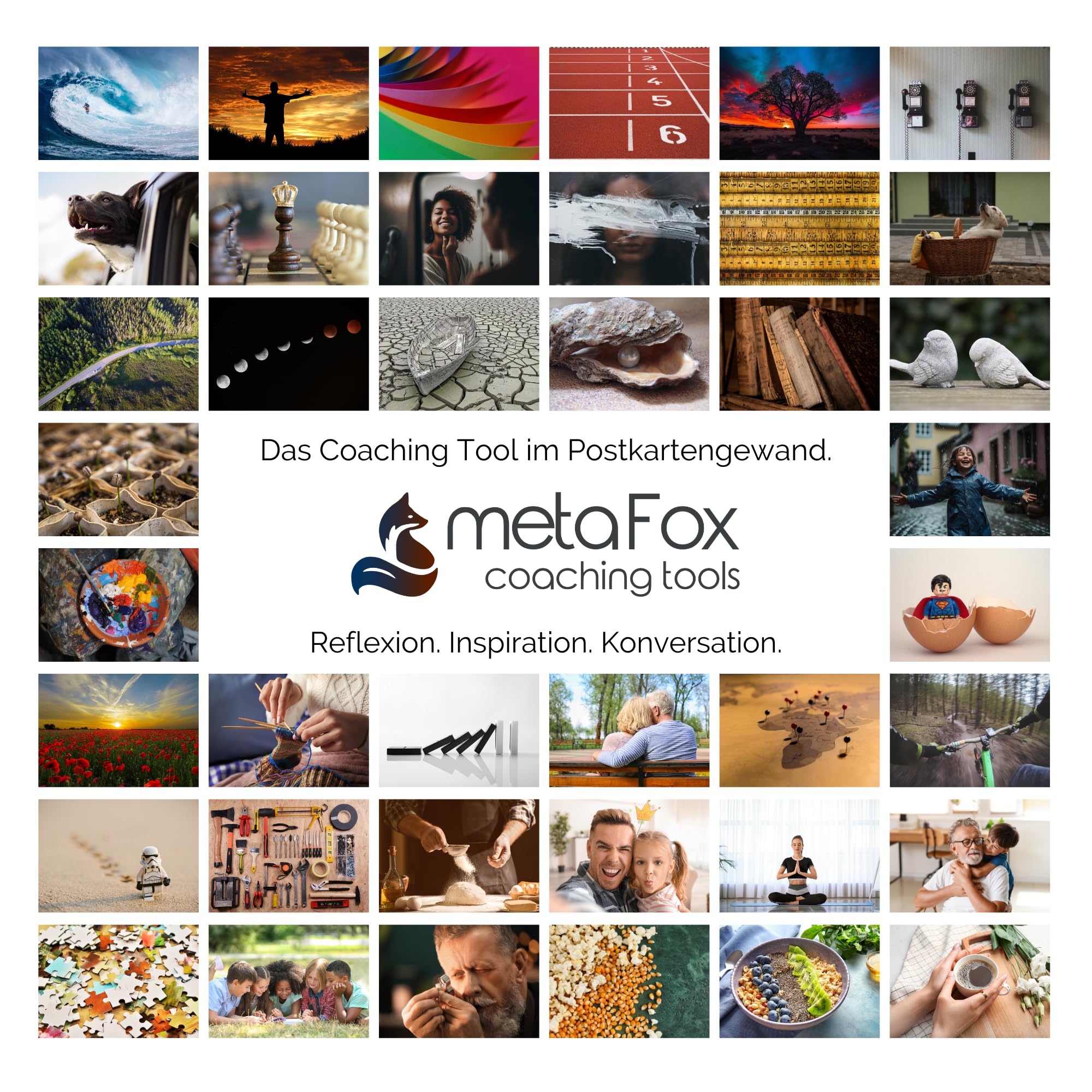 metaFox Die Kraft der Resilienz - 52 Bildkarten für Resilienz, Akzeptanz und emotionale Intelligenz - im Coaching und in der Therapie als Ressourcenkarten, Achtsamkeitskarten und Motivationskarten