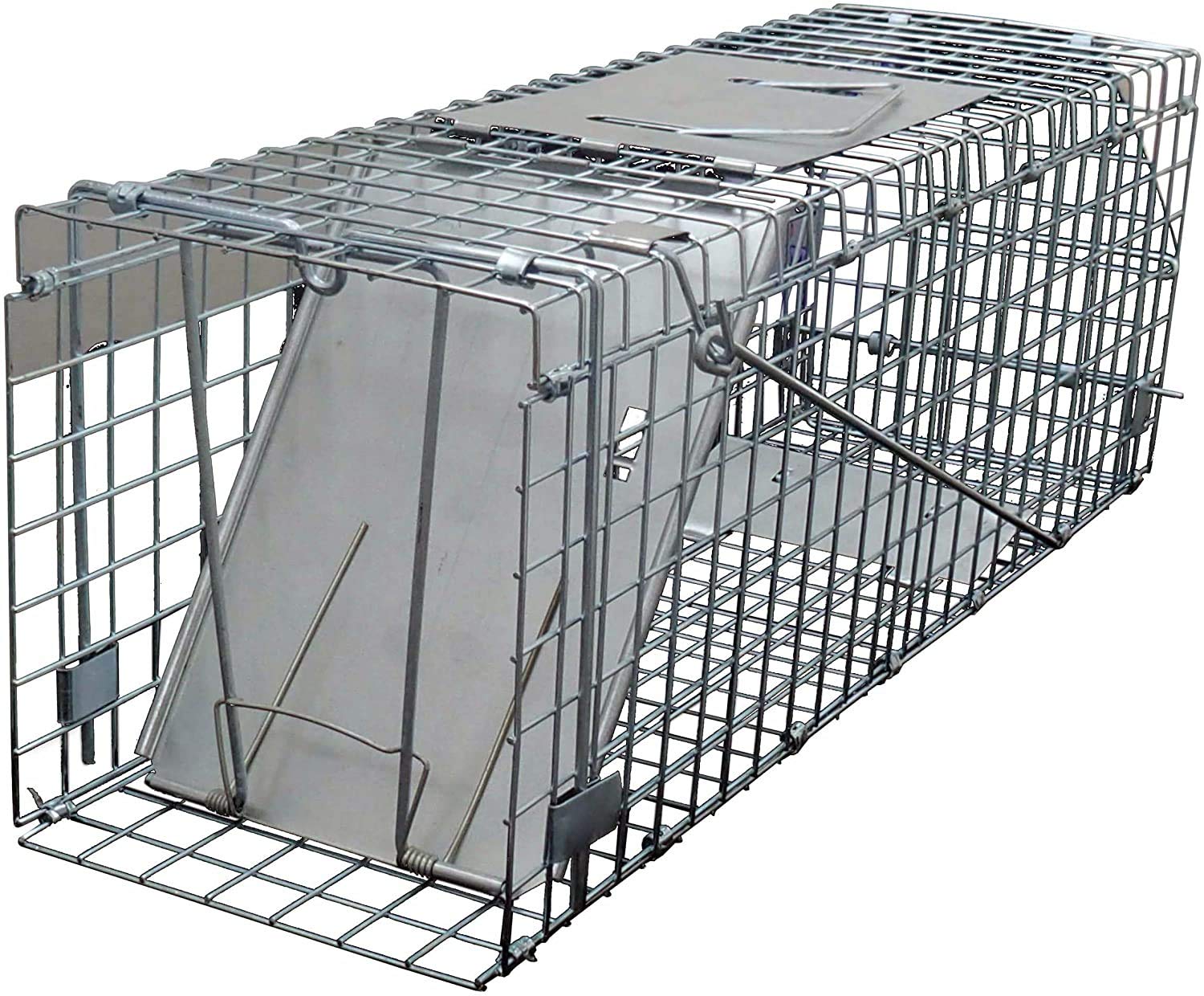 PestExpel® Live Catch, Rabbits, Squirrels, Mink, Vermin,Animal Folding Cage Trap (Medium)
