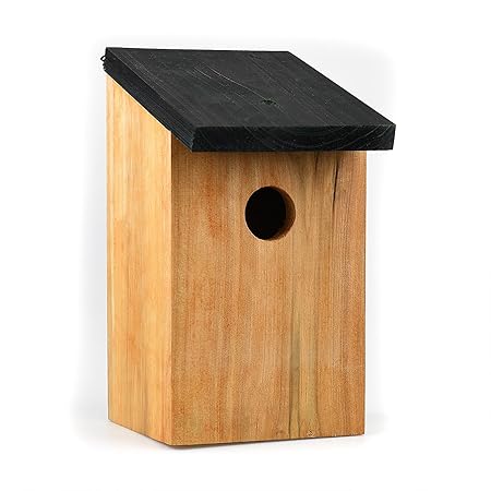 Asab Traditional Solid Wooden Bird Nesting Box Feeder Station