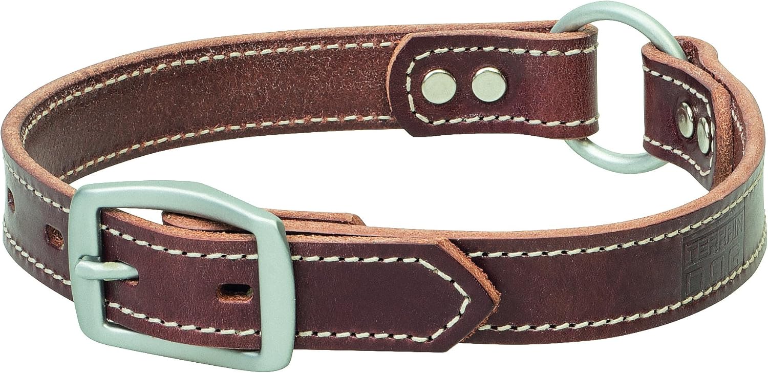 bridle leather dog collars