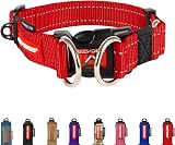 EzyDog Double Up Dog Collar Reflective ID Tag D-Ring Small to Large