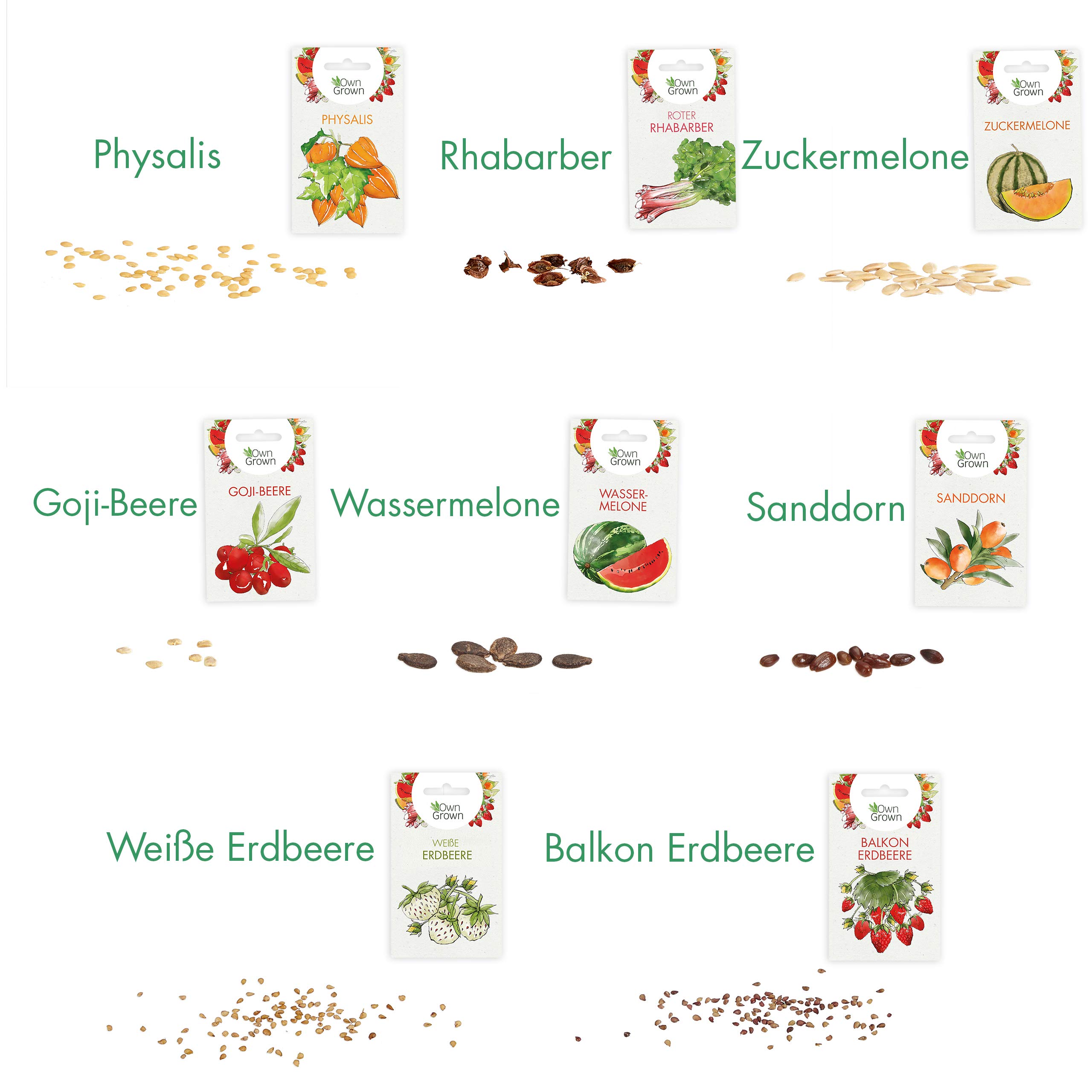 Obst Samen Set: Premium Garten Obst Saatgut mit 8 Sorten Obst Pflanzen für Garten und Balkon – Wassermelone Samen, Erdbeeren Samen, Andenbeere, Rhabarber uvm. – Obstsamen Geschenk Set von OwnGrown 2