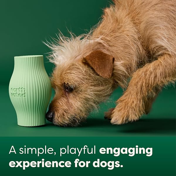 EARTH RATED TREAT DISPENSING DOG TOYS, ENRICHMENT TOY FOR ADULT AND PUPPY DOGS, SLOW FEEDER, DISHWASHER AND FREEZER-SAFE, NATURAL RUBBER, LARGE, GREEN