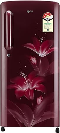 LG 190 L 4 Star Direct Cool Single Door Refrigerator(GL-B201ARGX.ARGZEBN, Ruby Glow,Smart Inverter Compressor)